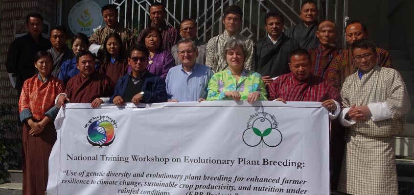 National Training Workshop on Evolutionary Plant Breeding 11-18 February 2019