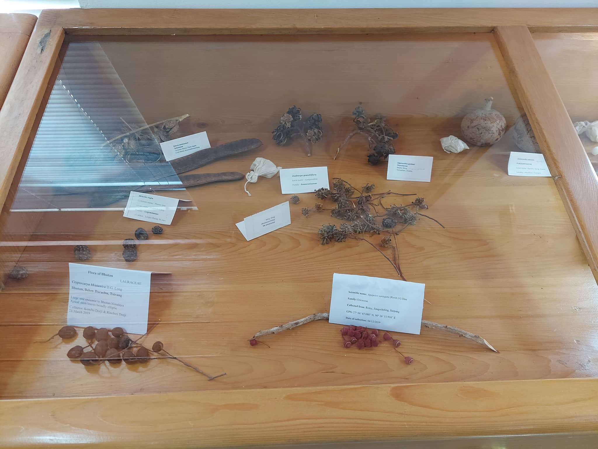 National Herbarium - National Biodiversity Centre