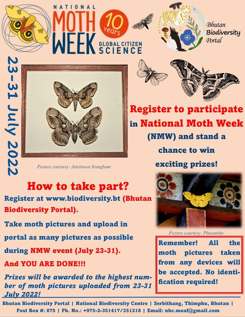 National Moth Week