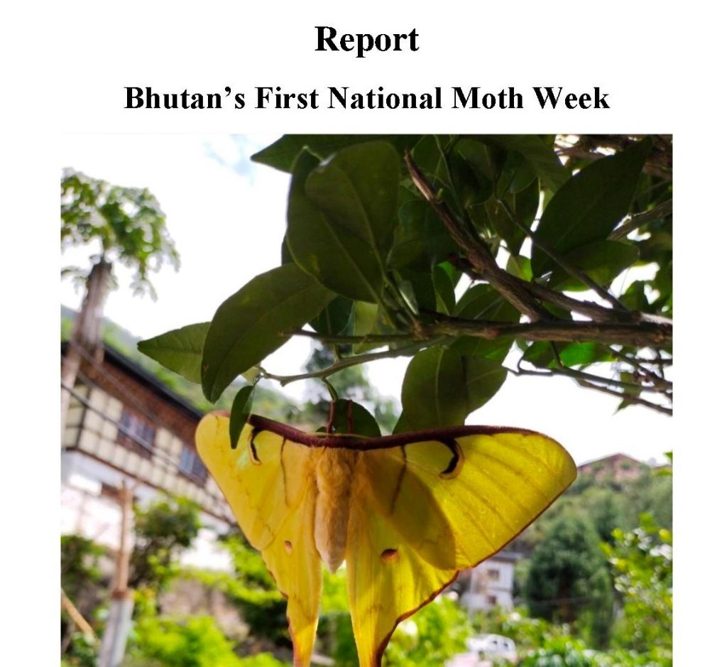 Report on National Moth Week