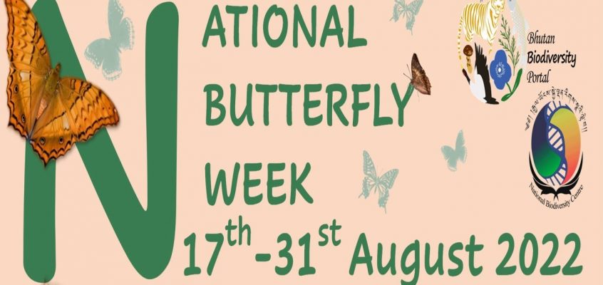 National Butterfly Week