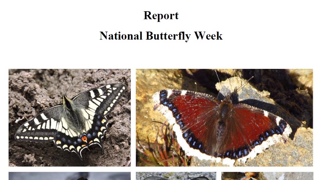 National Butterfly Week Report