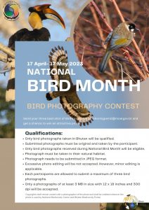 Bird Photography Contest