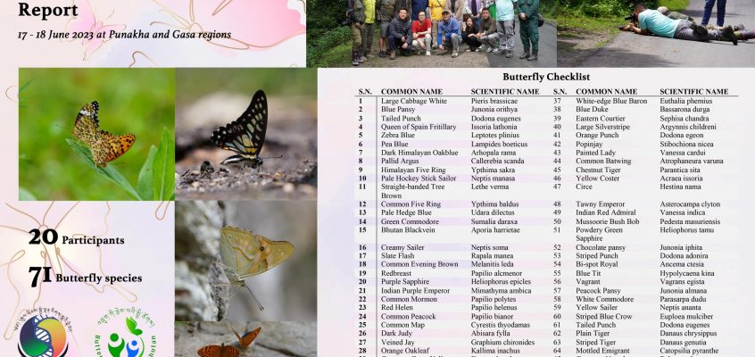 Butterfly BioBlitz Report