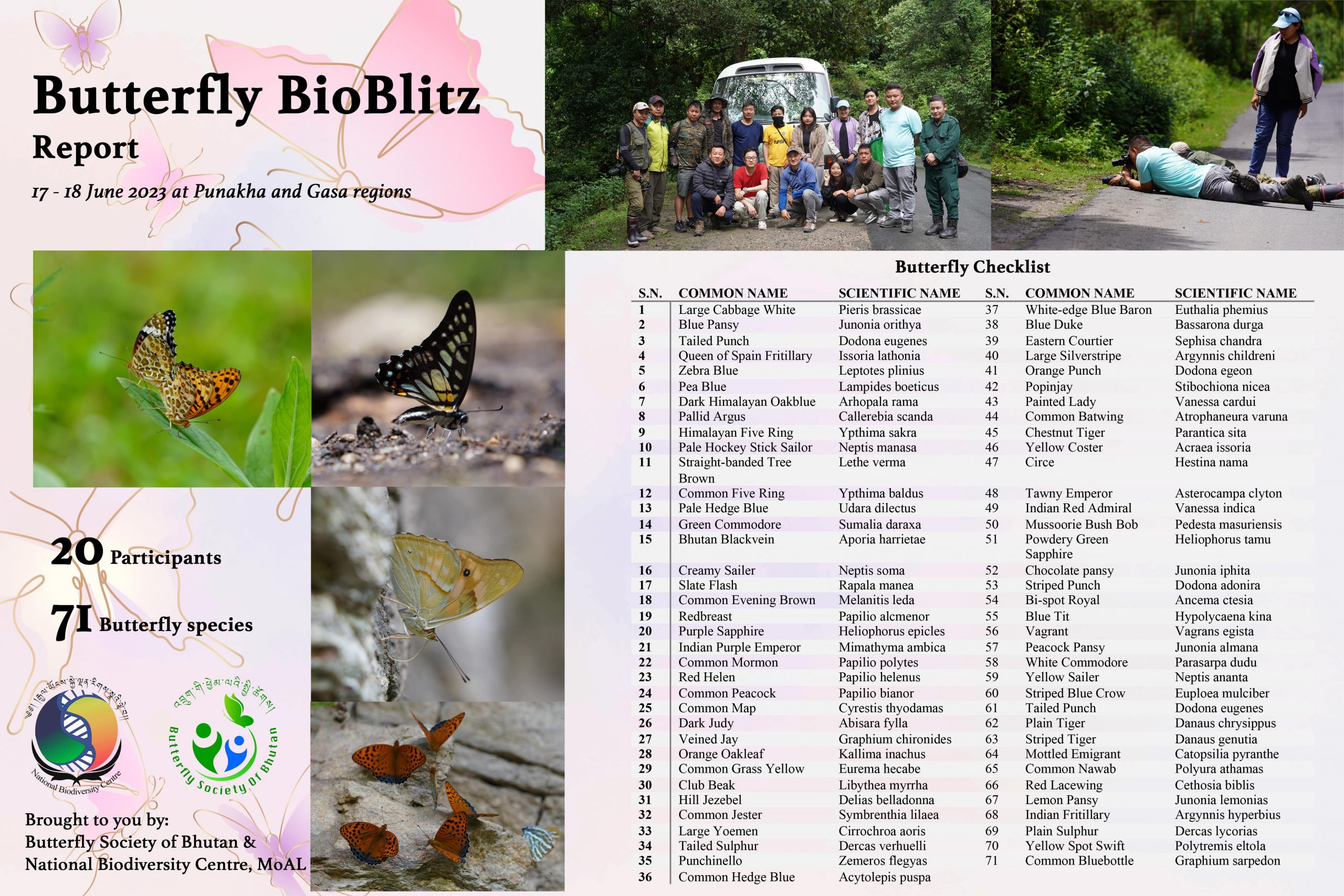 Butterfly BioBlitz Report