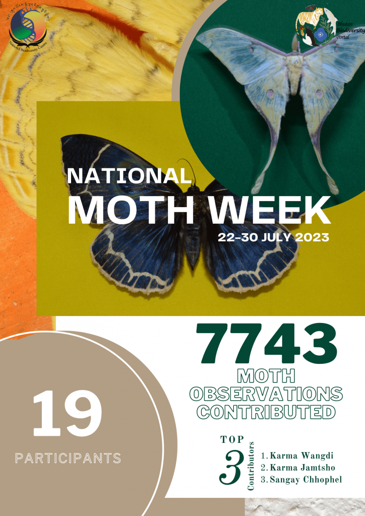 National Moth Week Winner