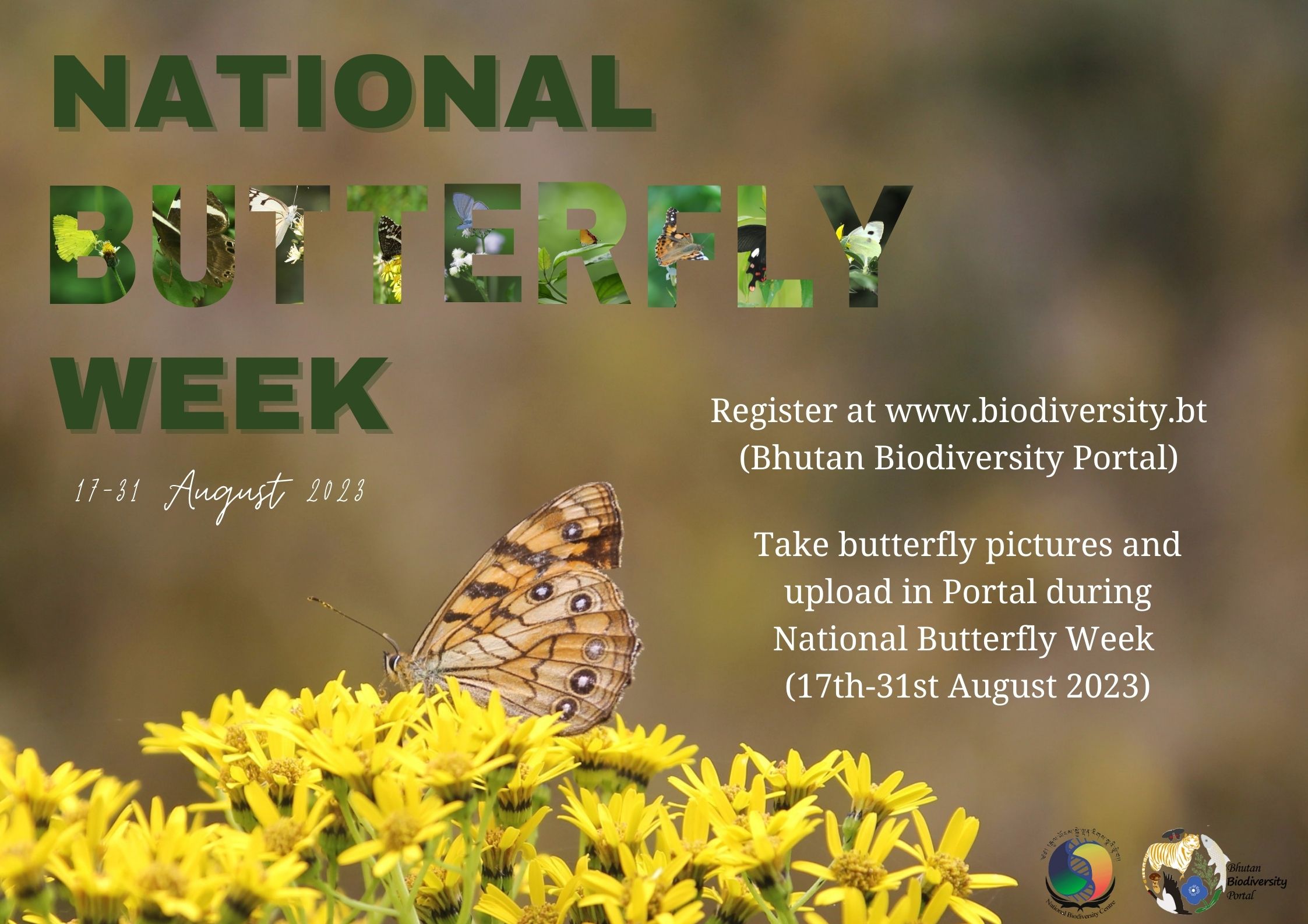 National Butterfly Week