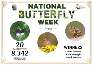 National Butterfly Week Winner Announcement