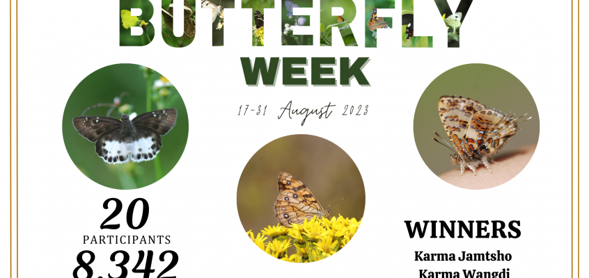 National Butterfly Week Winner Announcement